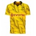 Cheap Borussia Dortmund Third Football Shirt 2023-24 Short Sleeve